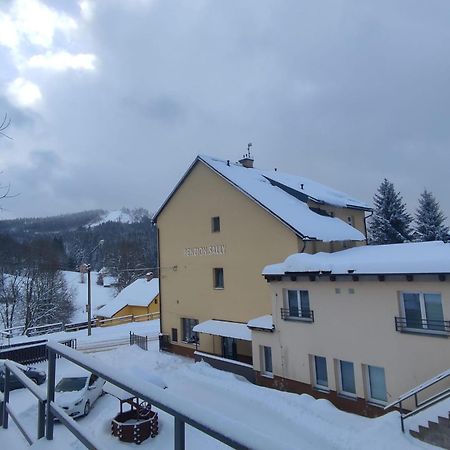 Penzion Sally Albrechtice v Jizerskych horach Esterno foto